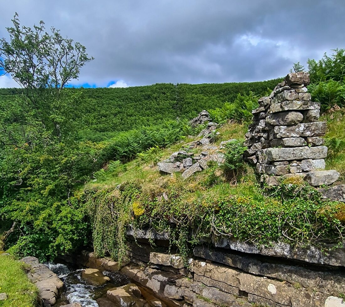 A small stream running through a fern covered slopes and fellside beyond. A small section of derelict wall sits atop a stone manmade border to the stream.