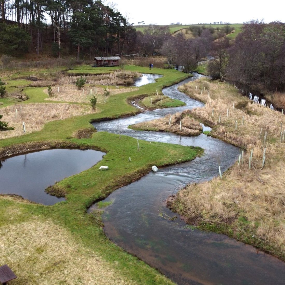 A river meanders through a field. To the left of the river is a pond and plastic tubes containing saplings are scattered over the site.
