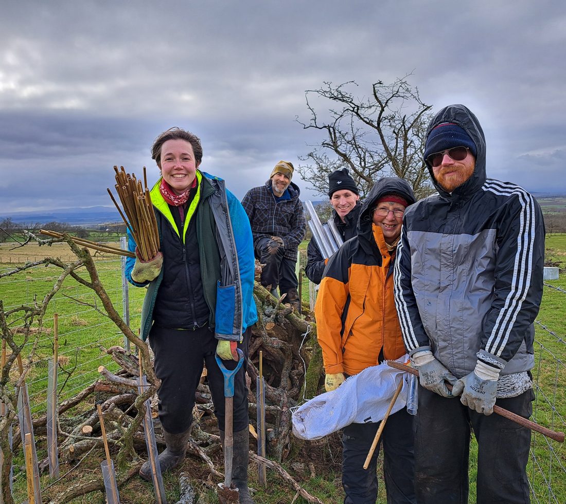 A group of hedge laying volunteers are posing for a photograph stood amid a newly laid section of hedge, replete with saplings, stakes and tree guards.