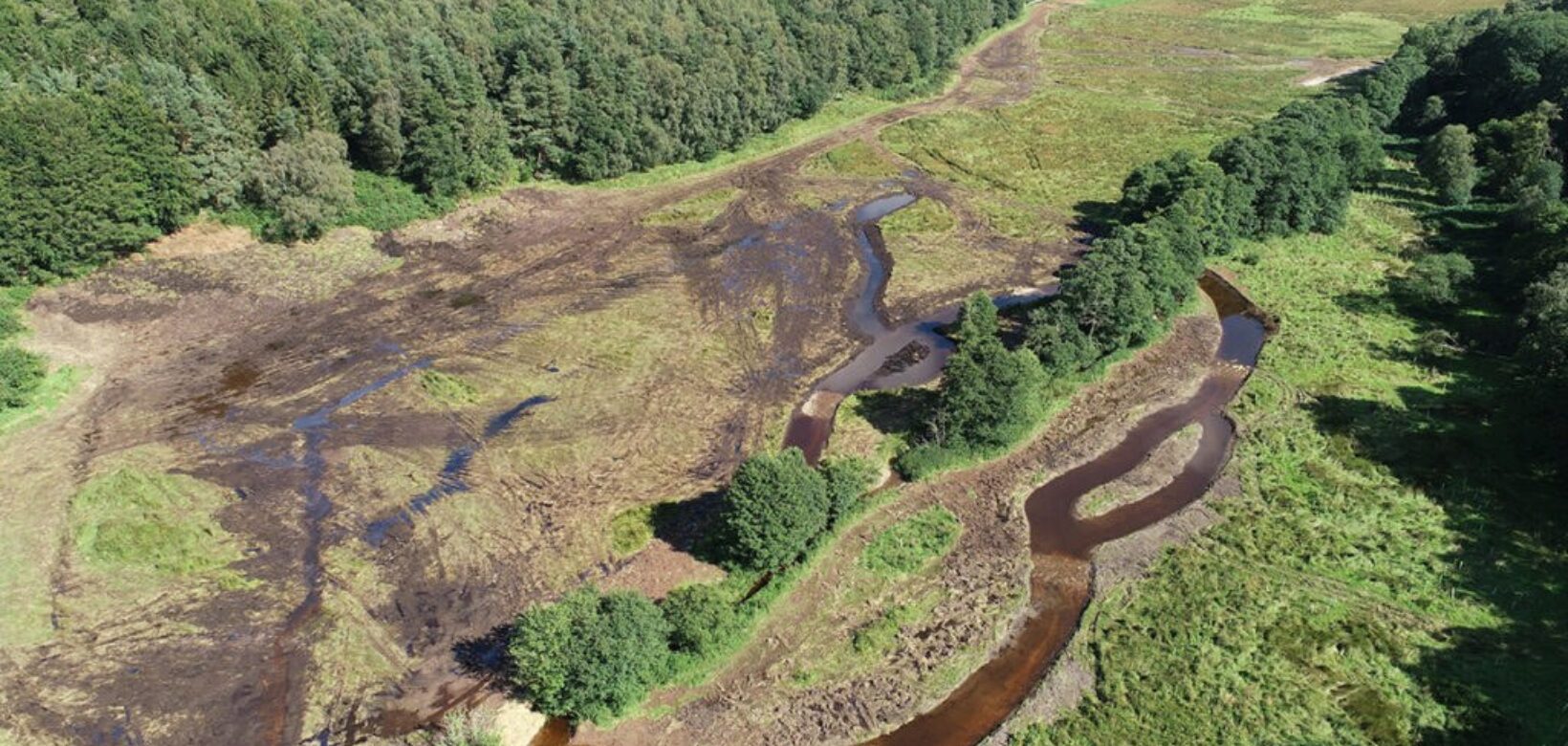 Aerial view of freshly excavated water channels and scrapes on a large expanse of flat grassland fringed by a large expanse of fir plantation.