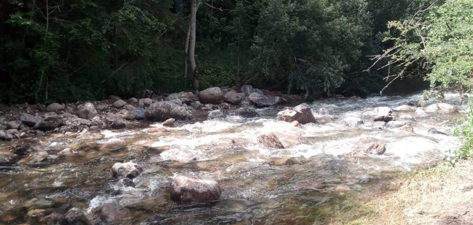 Looking across the width of a fast flowing river strewn with large rocks and boulders and fringed by dense woodland.