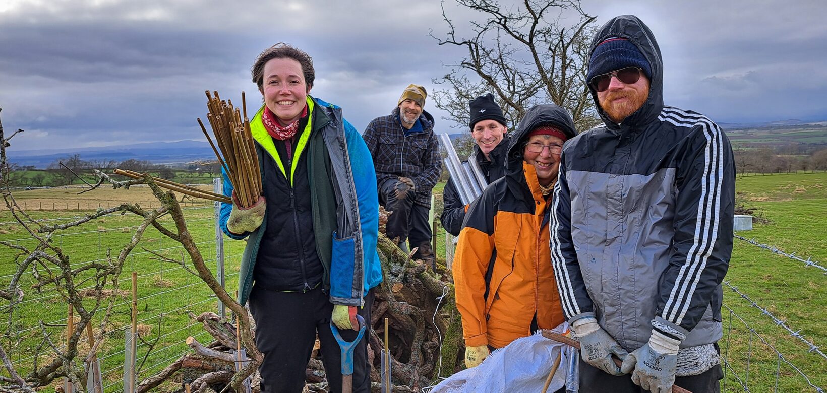 A group of hedge laying volunteers are posing for a photograph stood amid a newly laid section of hedge, replete with saplings, stakes and tree guards.
