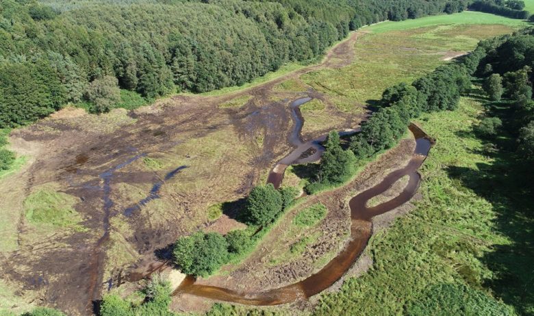 Aerial view of freshly excavated water channels and scrapes on a large expanse of flat grassland fringed by a large expanse of fir plantation.