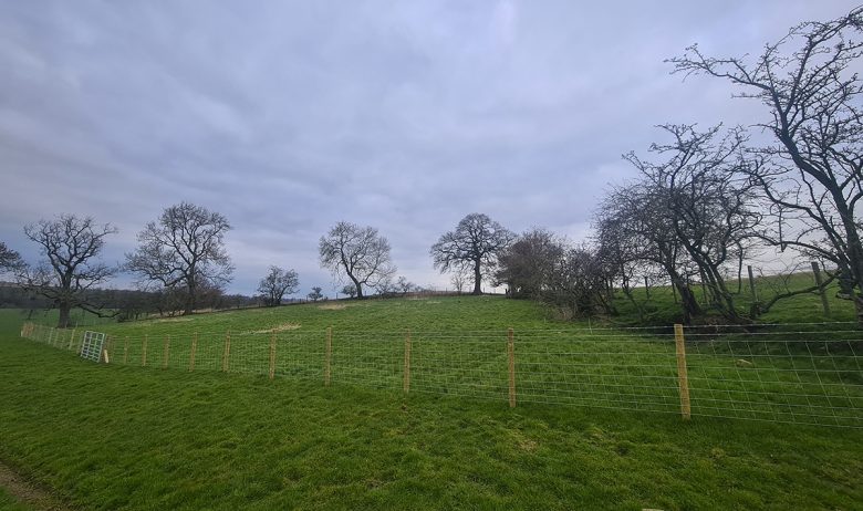 View looking up gently sloping green pastureland dissected by wooden and wire fencing. Single mature leafless trees dot the the top edge of the field.