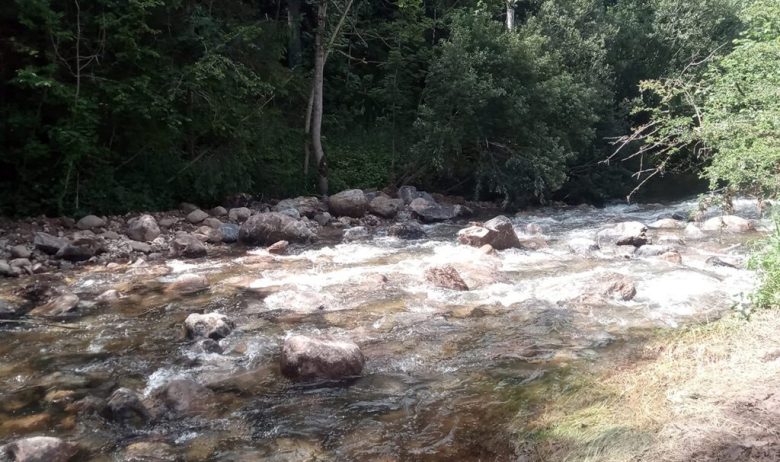 Looking across the width of a fast flowing river strewn with large rocks and boulders and fringed by dense woodland.