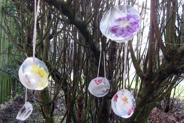 Ice cubes frozen with flowers and petals inside and strung up from tree branches.