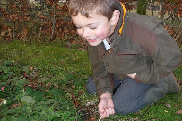 A young person kneeling and looking at foliage.