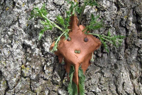 Leaves made into the shape of a face and pinned to tree bark.