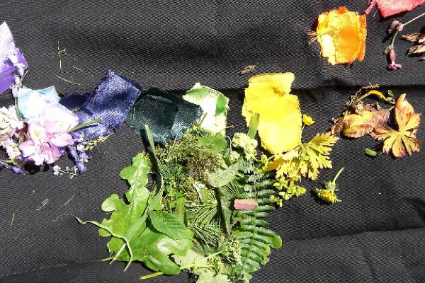A collection of tree leaves, petals, bark, and small pieces of colourful material pieces on black blanket.