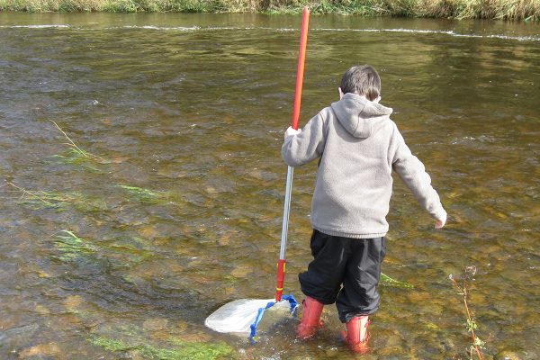 A young person stood in a shallow section of river wearing wellies and using a large net to scoop the bed of the river looking for aquatic life.