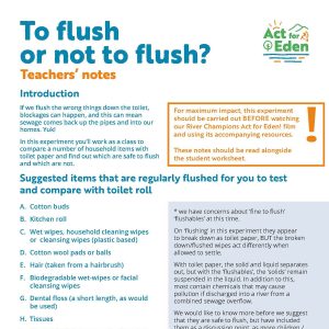 Graphic of a worksheet for teachers titled: 'To flush or not to flush.