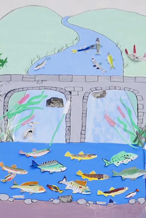 A drawing showing a river with a bridge over it. The river is full of fish and there are trees on either side of the bridge.