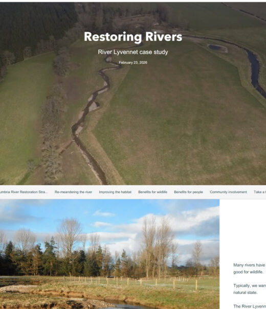 Image showing the front page of the Story Map