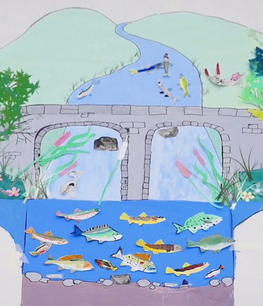 A drawing showing a river with a bridge over it. The river is full of fish and there are trees on either side of the bridge.