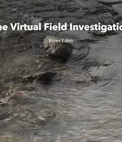 Text - The Virtual Field Investigation, River Eden with a picture of the surface of the river behind