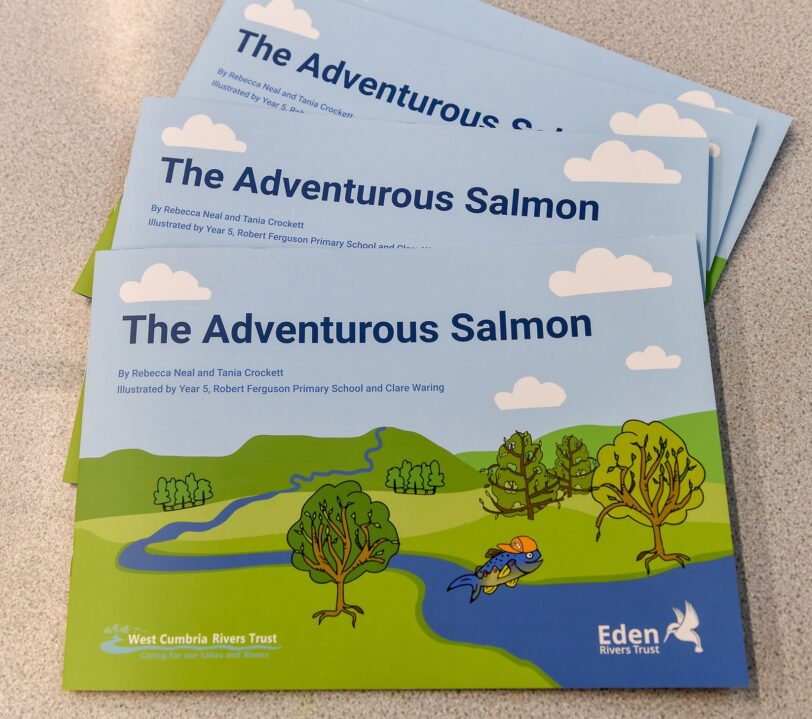 Group of The Adventurous Salmon books, fanned out
