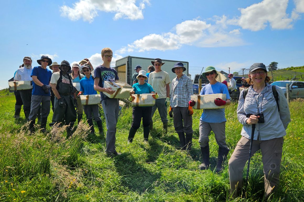 A large group of people are standing on a slope looking at the camera. Some of them are carrying a white box that has a water vole inside.