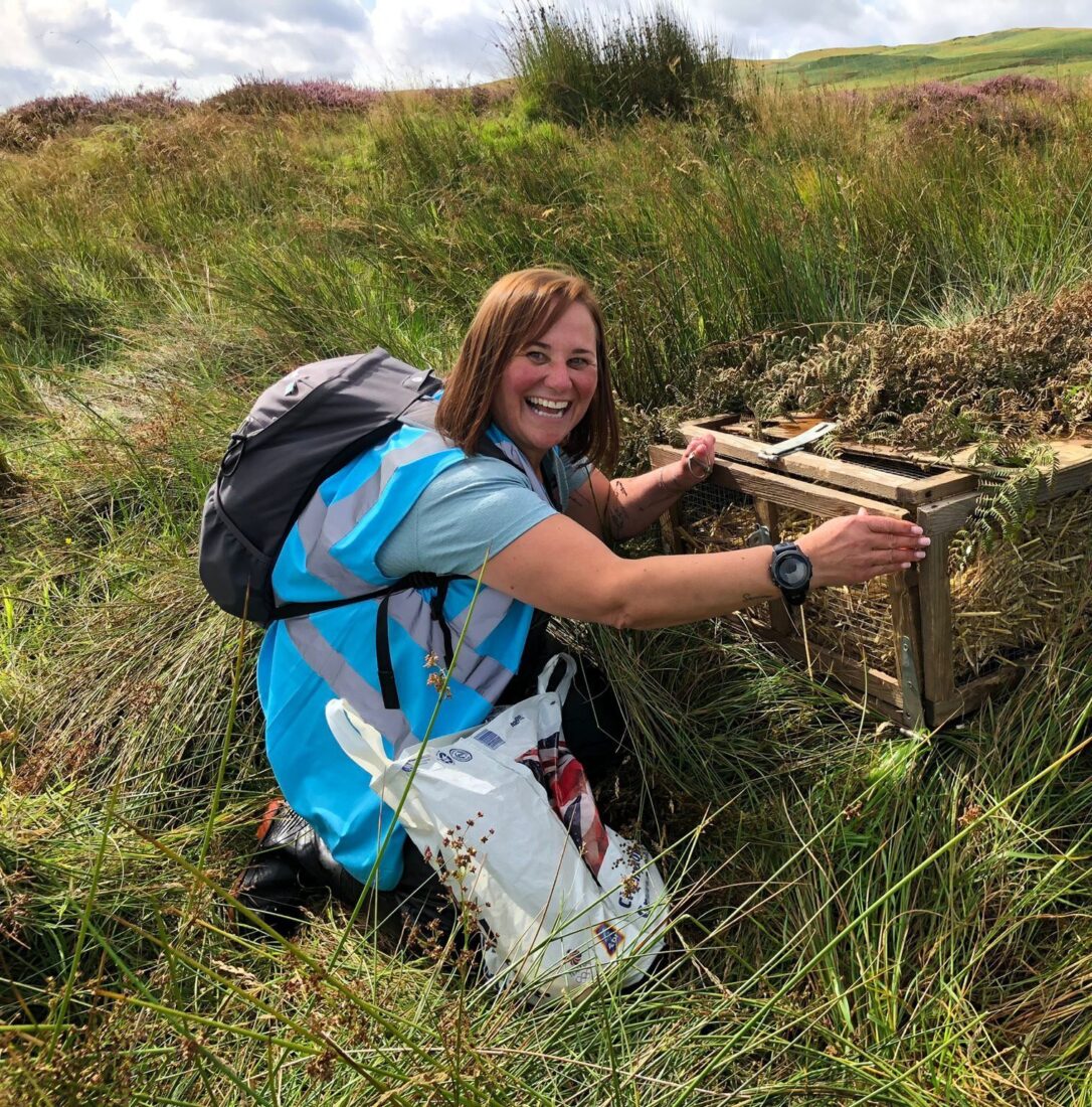 A woman is knelt beside a wooden and wire box full of straw and is opening a flap at the front ready to feed some water voles that are hidden within.