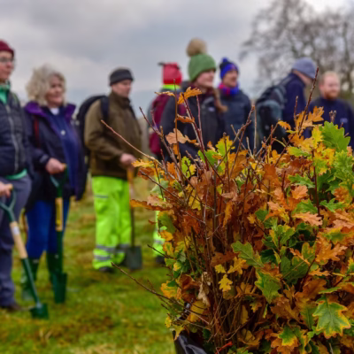 Volunteers pictures in background with a bag of saplings ready for planting in foreground in focus.