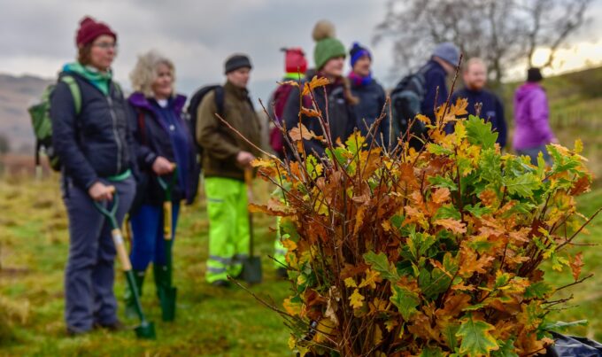 Volunteers pictures in background with a bag of saplings ready for planting in foreground in focus.