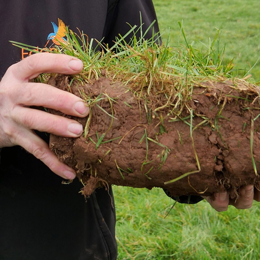 Close up of a large sod of earth.