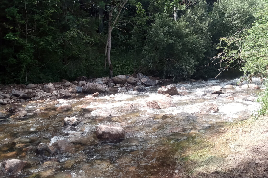 rapids in the river