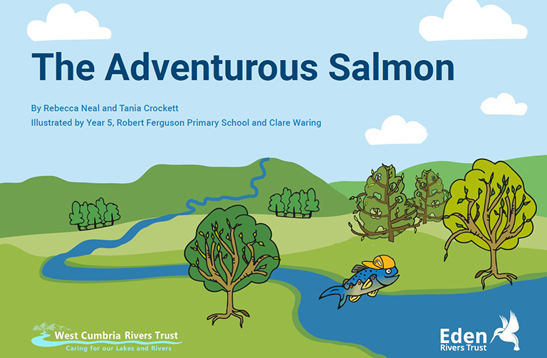 Adventurous Salmon book cover