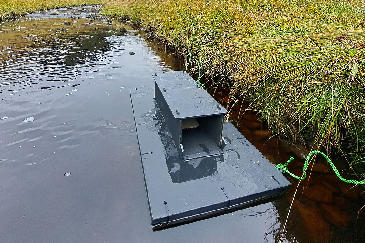 a raft with a covered shelter floats on top of water in a stream. Mink enter the shelter and are trapped.