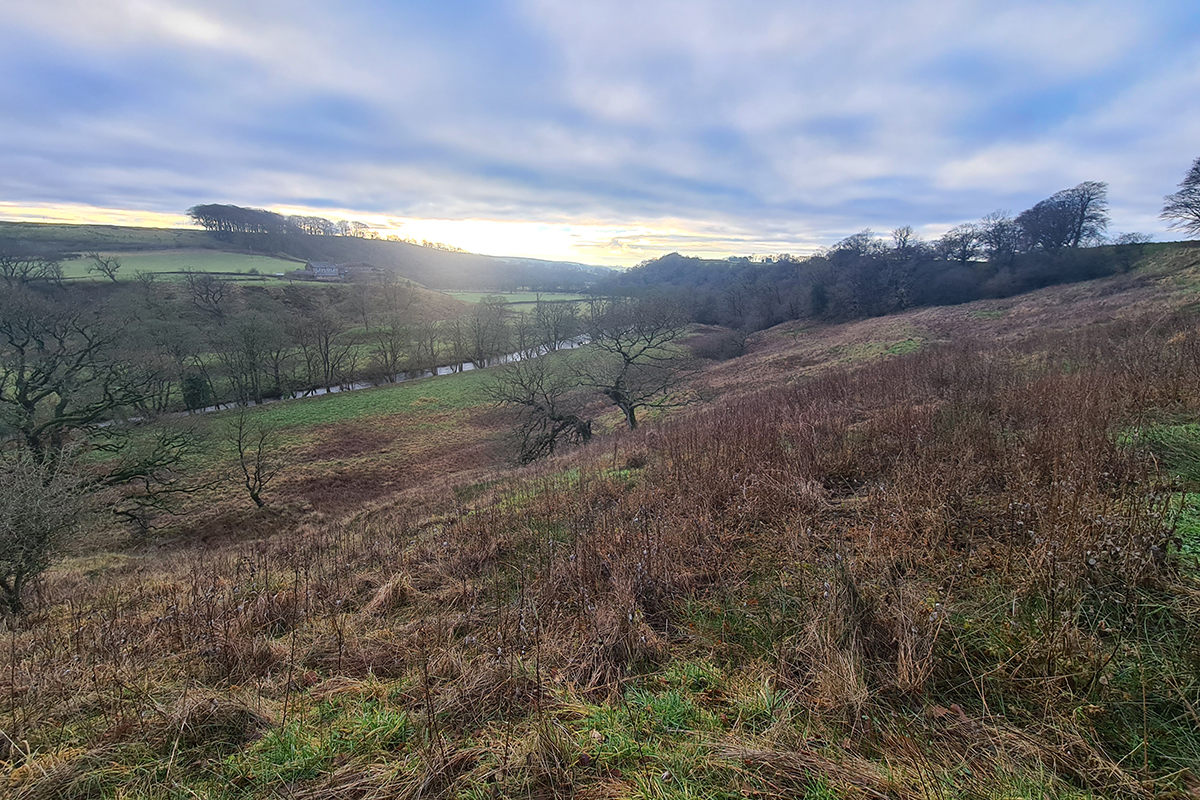 In the foreground can see a hill, covered in bracken and grass with a couple of isolated trees, stretching down to a river. Trees line the riverbank and form a dense wooded area in the background.